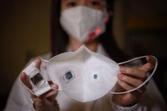 Ảnh minh họa (Nguồn:TTXVN)