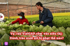 Vụ 'rau VietGAP rởm' vào siêu thị: Đánh tráo xuất xứ bị phạt thế nào?