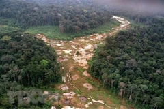 Khoảng rừng Amazon bị chặt phá tại Brazil. (Ảnh: AFP/TTXVN) 