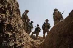 Ảnh minh họa (Nguồn: AFP/TTXVN)