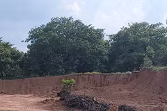 Khai thác, vận chuyển đất trái phép xuyên đêm ở Đồng Phú 