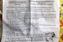 Đề thi môn hóa lớp 9 của Trường Trung học cơ sở Long Bình Tân gây tranh luận do quảng cáo về rượu. (Nguồn: tuoitre.vn) 