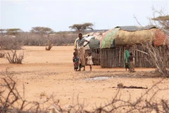 Người dân tại khu vực bị ảnh hưởng bởi hạn hán ở thị trấn Laisamis, Marsabit (Kenya), ngày 26/8/2022. (Ảnh: THX/TTXVN) 