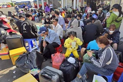 Lượng khách mua vé tuyến cố định từ Cà Mau đến các tỉnh miền Tây và Đông Nam Bộ tăng cao so với ngày thường. (Ảnh: Kim Há/TTXVN)