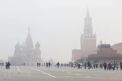 (Ảnh: Trần Hiếu/TTXVN)