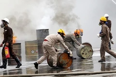 Ảnh minh họa (Nguồn:TTXVN)