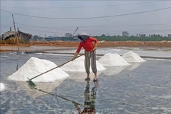 Ảnh minh họa. (Nguồn: TTXVN)