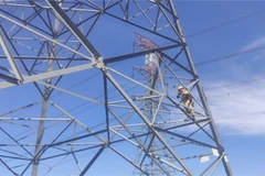 Ảnh minh họa (Nguồn:TTXVN)