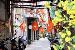Một khu phố trên đường Nguyễn Thị Minh Khai, Quận 3. (Ảnh: Anh Tuấn/TTXVN)