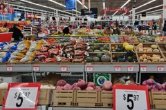 Ảnh minh họa (Nguồn: AFP/TTXVN)