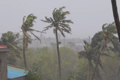 (Nguồn: Reuters/Ảnh chụp màn hình)