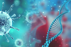 (Nguồn: chinadaily.com.cn) 