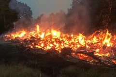 Hình ảnh vụ cháy rừng tại De Meinweg. (Nguồn: nltimes.nl) 