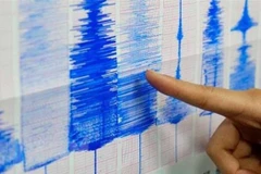 Ảnh minh họa. (Nguồn: The Mainichi/TTXVN) 