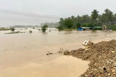 Mưa lớn gây ngập ở tuyến tỉnh lộ 629. (Ảnh: TTXVN)