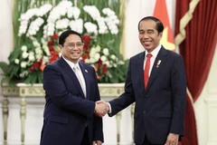 Thủ tướng Phạm Minh Chính hội kiến Tổng thống Indonesia Joko Widodo. (Ảnh: Dương Giang/TTXVN)