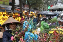 "Ông Công, ông Táo về Trời"- Tết đã gõ cửa từng nhà