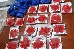 Ảnh minh họa. (Nguồn: TTXVN)