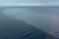 Sự cố tràn dầu diesel trải dài vài km. (Nguồn: AFP)