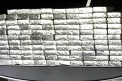 Ảnh minh họa (Ảnh: FreeToday)