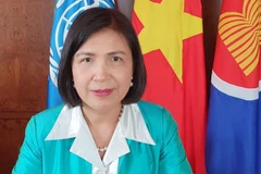 Đại sứ Lê Thị Tuyết Mai, Trưởng Phái đoàn đại diện thường trực Việt Nam tại Geneva.(Nguồn:TTXVN)