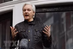 Australia: Vụ án của nhà sáng lập Wikileaks đã kéo dài quá lâu