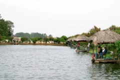 Ảnh minh họa (Nguồn:TTXVN)