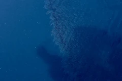 Vệt dầu loang. (Ảnh: THX/TTXVN) 