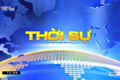 Ảnh minh họa (Nguồn: VTV)