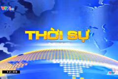 Ảnh minh họa (Nguồn: VTV)