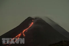 Ảnh minh họa. (Nguồn: AFP/TTXVN) 