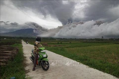 Núi lửa ở Indonesia phun trào. (Ảnh (tư liệu) minh họa: AFP/TTXVN)