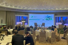 Phó Giáo sư Simon Tay, Chủ tịch SIIA phát biểu tại Đối thoại. (Ảnh: Tất Đạt/TTXVN)