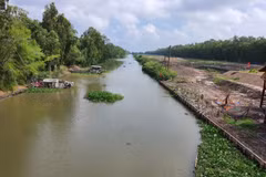 Khu đất tại Điểm du lịch rừng tràm Trà Sư được san lấp để làm đường đua bò.(Nguồn: Plo)