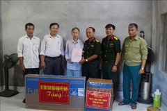 Ảnh minh họa. (Nguồn: TTXVN)