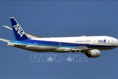 Máy bay của hãng hàng không ANA. (Ảnh tư liệu: Kyodo/TTXVN)