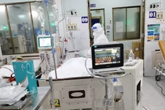 Ảnh minh họa (Nguồn:TTXVN)