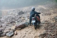 Ảnh minh họa (Nguồn:TTXVN)