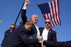 Ông Donald Trump được mật vụ Mỹ hộ tống khỏi sân khấu của sự kiện vận động tranh cử tại bang Pennsylvania sau khi xảy ra vụ nổ súng, ngày 13/7/2024. (Ảnh: AP/TTXVN) 