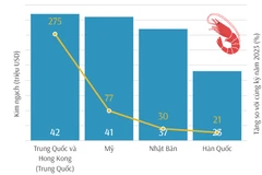 Mở màn năm 2024, xuất khẩu tôm tăng 71%