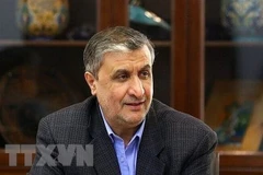 Giám đốc Cơ quan Năng lượng Nguyên tử Iran (IAEO) Mohammad Eslami. (Ảnh: IRNA/TTXVN) 