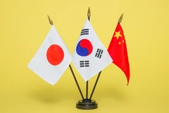 (Nguồn: The Korea Herald) 