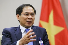 Bộ trưởng Ngoại giao Bùi Thanh Sơn. (Ảnh: TTXVN phát)