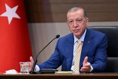 Tổng thống Thổ Nhĩ Kỳ Recep Tayyip Erdogan phát biểu với báo giới tại Istanbul. (Ảnh: THX/TTXVN) 