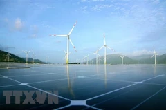 Mỹ phê duyệt dự án điện gió ngoài khơi lớn nhất từ trước đến nay