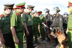 Ảnh minh họa (Nguồn:TTXVN)