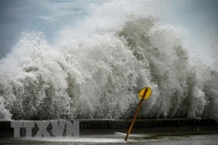 Bão Otis tàn phá nặng nề các địa phương duyên hải miền Tây Mexico