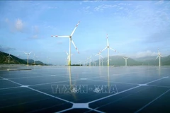 Dự án điện gió và điện mặt trời tại xã Lợi Hải và Bắc Phong (Thuận Bắc) được triển khai nhanh nhờ sự hỗ trợ lớn của tỉnh Ninh Thuận. (Ảnh: Minh Hưng/TTXVN)