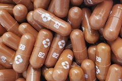 Ảnh minh họa. (Nguồn: AFP/TTXVN) 