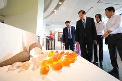 Trao giải thưởng Cuộc thi và triển lãm 5 năm Điêu khắc toàn quốc
